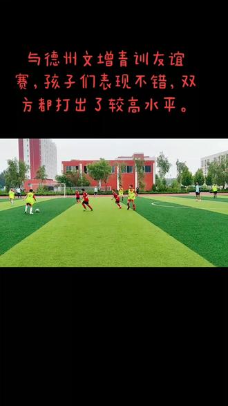 球队青训计划取得成果，新秀出色表现