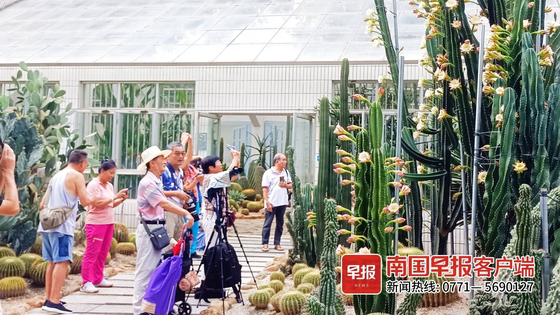 南美强队南美赛场绽放，争夺最高荣誉的简单介绍